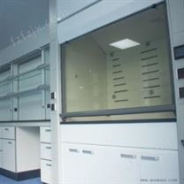 环扬防爆实验室家具 通风柜 抽风柜 净气柜
